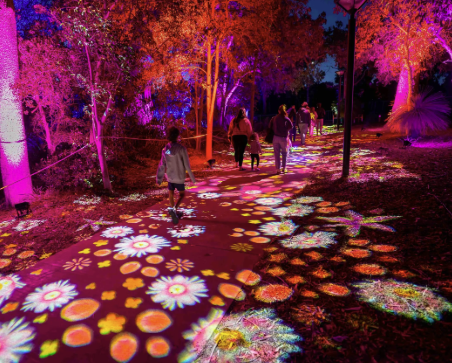Bloom: Living Connections Luna Light Journey in Joondalup